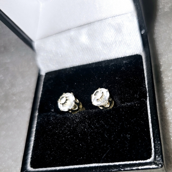 ℂ𝕝𝕖𝕒𝕣 𝕊𝕥𝕠𝕟𝕖 𝔼𝕒𝕣𝕣𝕚𝕟𝕘𝕤 - Picture 2 of 4